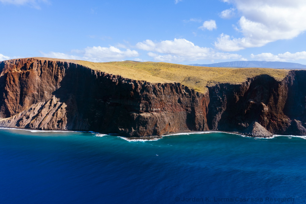 Pali, cliff, Lānaʻi, Hawaii, drone, UAS, whale, dolphin