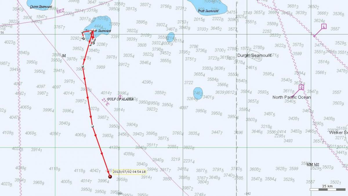 blue whale track lines