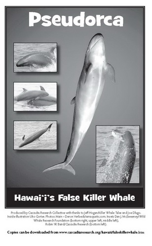 Cover photos (c) Deron Verbeck/iamaquatic.com, Dan McSweeney/Wild Whale Research Foundation and Robin Baird/CRC