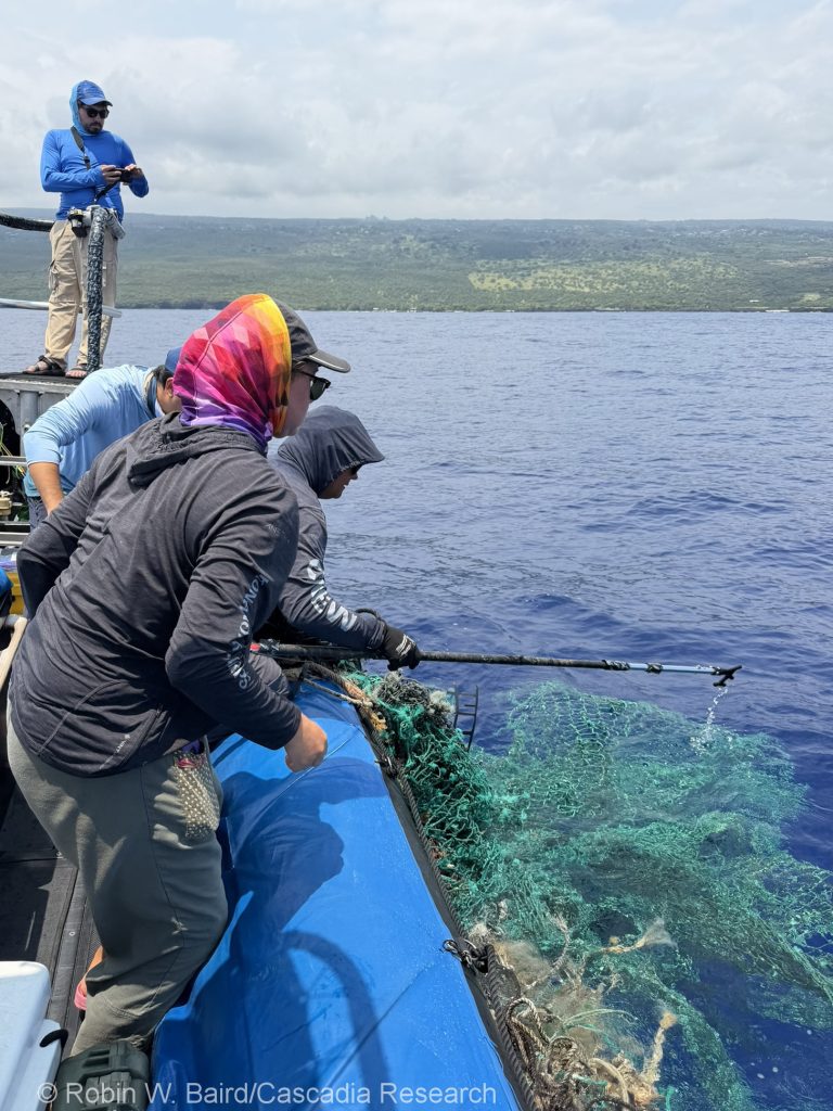 Marine debris removal