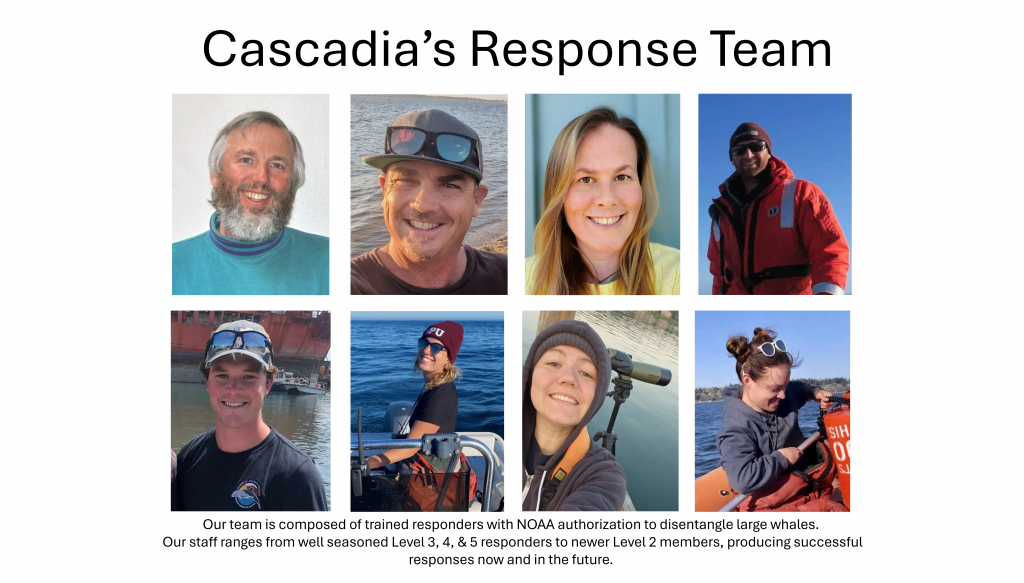 Cascadia's Response Team.
Our team is composed of trained responders with NOAA authorization to disentangle large whales. Our staff ranges from well seasoned Level 3, 4, & 5 responders to newer Level 2 members, producing successful responses now and in the future.