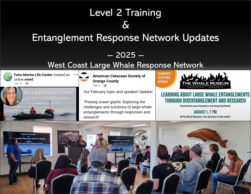 Educational outreach, whale entanglement response, 2024-2025, disentanglement, training,