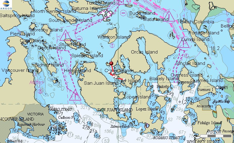 Movement of satellite tagged minke whale around the San Juan Islands