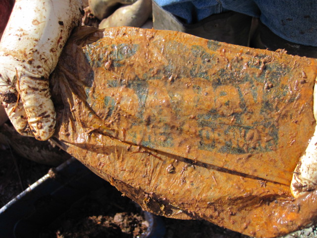 Plastic debris removed from stomach of dead gray whale.