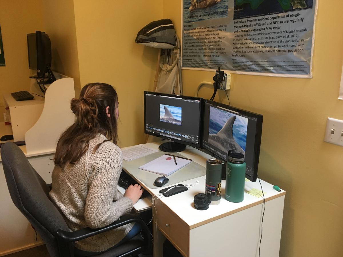 What our interns do - https://cascadiaresearch.org