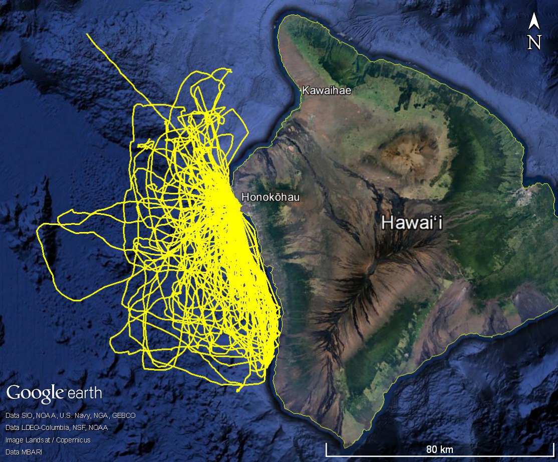 Hawaii, research