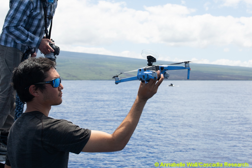 Drone, UAV, UAS, breath sampling, Snot bot, Hawaii, microbiome