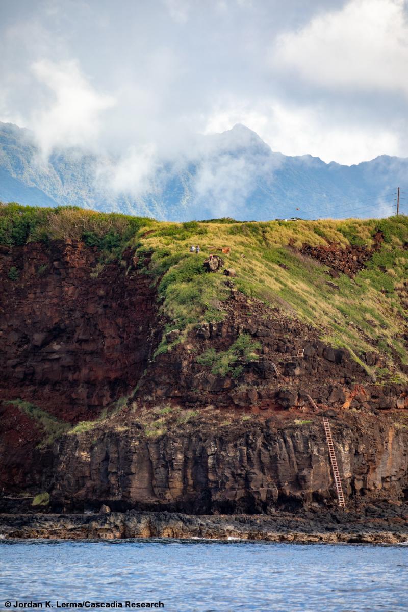 Land-based sighting crew, observation station, Kauaʻi, Hawaii