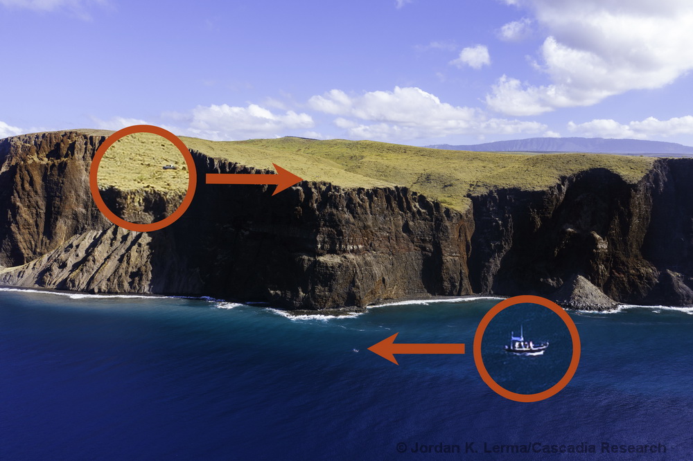 Drone, UAS, Pali, Cliff, Lanai, Hawaii, whale, dolphin, research