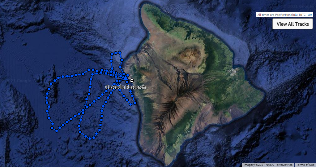 Map, trackline, Kona, Hawaii, survey effort